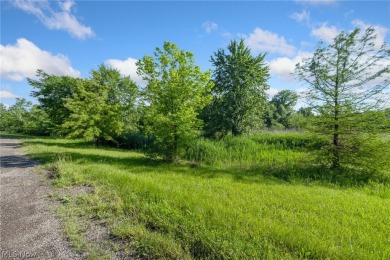 5.49-acre lot located in Hudson near Ellsworth Meadows Golf Club on Ellsworth Meadows Golf Club in Ohio - for sale on GolfHomes.com, golf home, golf lot