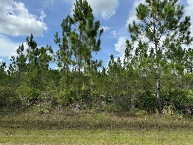 Discover an exceptional opportunity to build your dream home on on Indian Lake Estates Golf and Country Club in Florida - for sale on GolfHomes.com, golf home, golf lot
