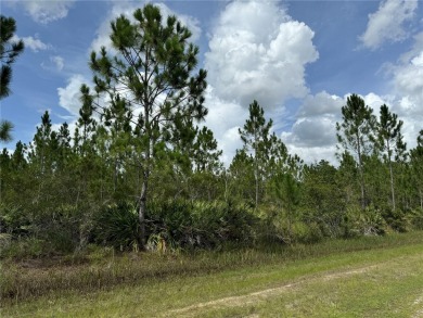 Discover an exceptional opportunity to build your dream home on on Indian Lake Estates Golf and Country Club in Florida - for sale on GolfHomes.com, golf home, golf lot