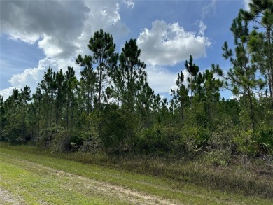 Discover an exceptional opportunity to build your dream home on on Indian Lake Estates Golf and Country Club in Florida - for sale on GolfHomes.com, golf home, golf lot