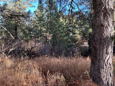 COUNTRY CLUB ESTATES LOT IN CASCADE! Highly sought after Country on Cascade Golf Course in Idaho - for sale on GolfHomes.com, golf home, golf lot