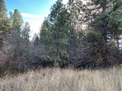 COUNTRY CLUB ESTATES LOT IN CASCADE! Highly sought after Country on Cascade Golf Course in Idaho - for sale on GolfHomes.com, golf home, golf lot