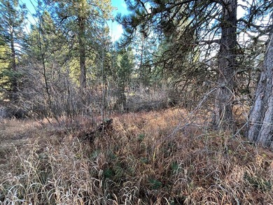 COUNTRY CLUB ESTATES LOT IN CASCADE! Highly sought after Country on Cascade Golf Course in Idaho - for sale on GolfHomes.com, golf home, golf lot