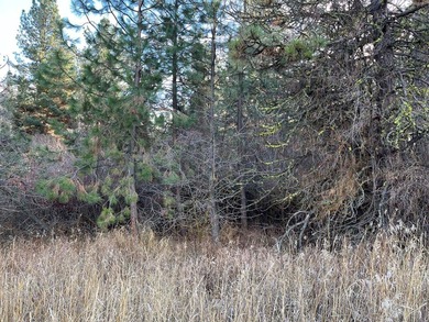 COUNTRY CLUB ESTATES LOT IN CASCADE! Highly sought after Country on Cascade Golf Course in Idaho - for sale on GolfHomes.com, golf home, golf lot