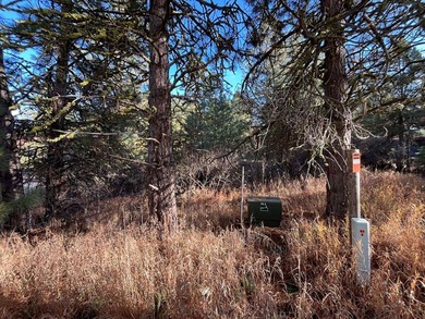 COUNTRY CLUB ESTATES LOT IN CASCADE! Highly sought after Country on Cascade Golf Course in Idaho - for sale on GolfHomes.com, golf home, golf lot