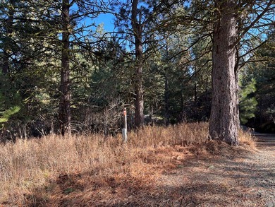 COUNTRY CLUB ESTATES LOT IN CASCADE! Highly sought after Country on Cascade Golf Course in Idaho - for sale on GolfHomes.com, golf home, golf lot