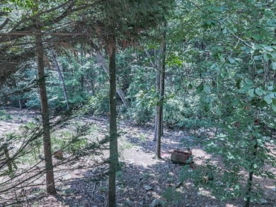 Looking for your mountain retreat? Wanting that Lake Life? Come on The Highlands Course at Lake Arrowhead in Georgia - for sale on GolfHomes.com, golf home, golf lot