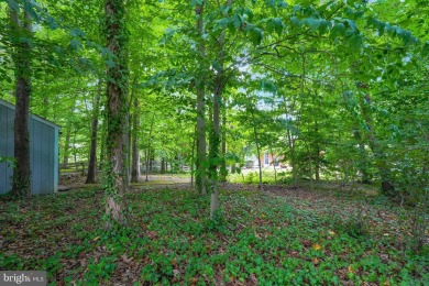 Hurry in to see this stately looking 4 BR/3BA solid brick home on Pinecrest Golf Course in Virginia - for sale on GolfHomes.com, golf home, golf lot