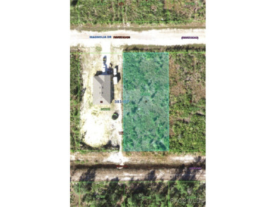 Half-Acre Lot with Water Access in Indian Lake Estates - Build on Indian Lake Estates Golf and Country Club in Florida - for sale on GolfHomes.com, golf home, golf lot
