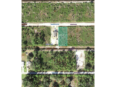 Half-Acre Lot with Water Access in Indian Lake Estates - Build on Indian Lake Estates Golf and Country Club in Florida - for sale on GolfHomes.com, golf home, golf lot