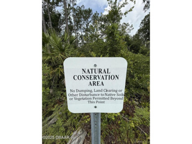 Introducing a brand-new, energy-efficient home available for on LPGA International Golf Course in Florida - for sale on GolfHomes.com, golf home, golf lot