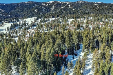 Build Your Mountain Getaway Near Tamarack Resort! This beautiful on Osprey Meadows at Tamarack Resort in Idaho - for sale on GolfHomes.com, golf home, golf lot