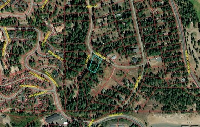 Build Your Mountain Getaway Near Tamarack Resort! This beautiful on Osprey Meadows at Tamarack Resort in Idaho - for sale on GolfHomes.com, golf home, golf lot