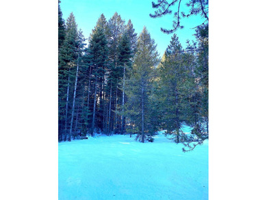 Build Your Mountain Getaway Near Tamarack Resort! This beautiful on Osprey Meadows at Tamarack Resort in Idaho - for sale on GolfHomes.com, golf home, golf lot