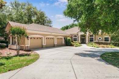 From the moment you step on the paver clad walkway leading to on Skyview At Terra Vista Golf and Country Club in Florida - for sale on GolfHomes.com, golf home, golf lot