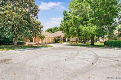 From the moment you step on the paver clad walkway leading to on Skyview At Terra Vista Golf and Country Club in Florida - for sale on GolfHomes.com, golf home, golf lot