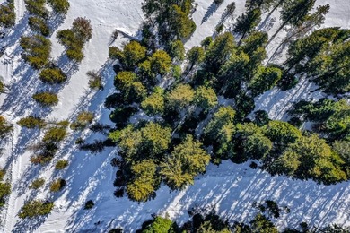 Prime Ski-In Homesite Near Cascade Lake & Tamarack Resort! This on Osprey Meadows at Tamarack Resort in Idaho - for sale on GolfHomes.com, golf home, golf lot