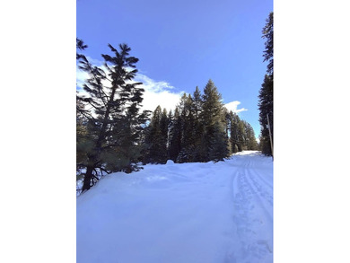 Prime Ski-In Homesite Near Cascade Lake & Tamarack Resort! This on Osprey Meadows at Tamarack Resort in Idaho - for sale on GolfHomes.com, golf home, golf lot