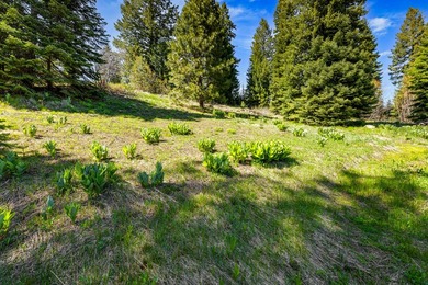 Exceptional value for a ski-accessible estate homesite in on Osprey Meadows at Tamarack Resort in Idaho - for sale on GolfHomes.com, golf home, golf lot