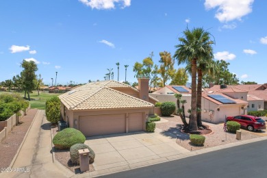 Beautiful home on a SPECTACULAR golf course lot, HOLE 10, in the on Palo Verde Golf and Country Club in Arizona - for sale on GolfHomes.com, golf home, golf lot