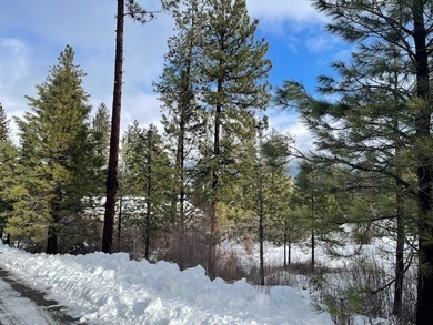 PRICED TO SELL! Prime MeadowCreek golf lot on Nelson Court for on Meadowcreek Golf Resort in Idaho - for sale on GolfHomes.com, golf home, golf lot