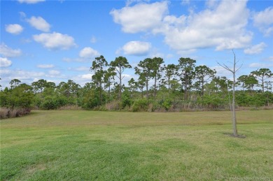 Fantastic opportunity to owner in the highly desired and newest on Eagle Marsh Golf Club in Florida - for sale on GolfHomes.com, golf home, golf lot
