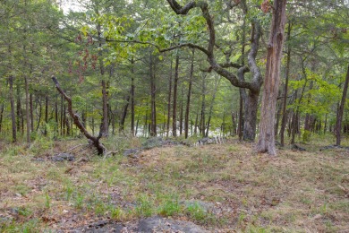 A Stunning Lakefront Retreat on the  Shores of Table Rock on Kimberling City Golf Club in Missouri - for sale on GolfHomes.com, golf home, golf lot