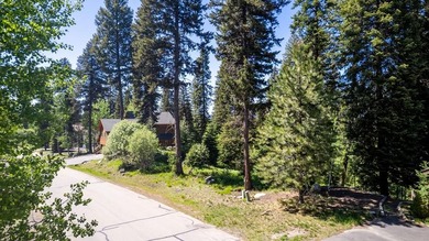 A stunning homesite in Spring Mountain Ranch featuring mature on McCall Municipal Golf Course in Idaho - for sale on GolfHomes.com, golf home, golf lot