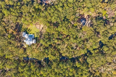 Nestled on 2.78 private, wooded acres, this exceptional estate on The Ford Field and River Club  in Georgia - for sale on GolfHomes.com, golf home, golf lot