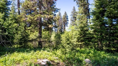A stunning homesite in Spring Mountain Ranch featuring mature on McCall Municipal Golf Course in Idaho - for sale on GolfHomes.com, golf home, golf lot