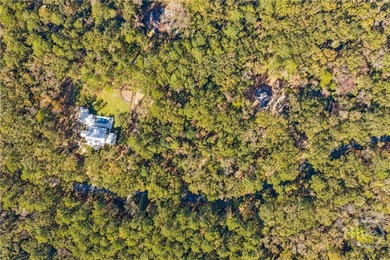 Nestled on 2.78 private, wooded acres, this exceptional estate on The Ford Field and River Club  in Georgia - for sale on GolfHomes.com, golf home, golf lot