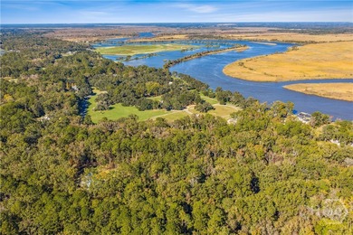 Nestled on 2.78 private, wooded acres, this exceptional estate on The Ford Field and River Club  in Georgia - for sale on GolfHomes.com, golf home, golf lot