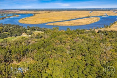 Nestled on 2.78 private, wooded acres, this exceptional estate on The Ford Field and River Club  in Georgia - for sale on GolfHomes.com, golf home, golf lot