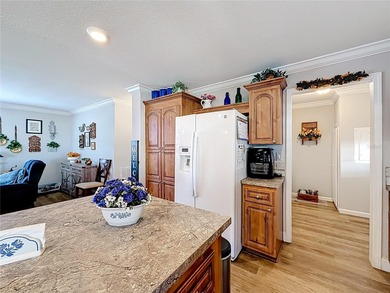 INTRODUCING this VERY unique, yet MODERN, hurricane RESISTANT on Lily Lake Golf and RV Resort in Florida - for sale on GolfHomes.com, golf home, golf lot