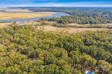 Nestled on 2.78 private, wooded acres, this exceptional estate on The Ford Field and River Club  in Georgia - for sale on GolfHomes.com, golf home, golf lot