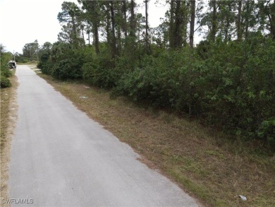 Don't miss out on this investment opportunity in a developing on Mirror Lakes Golf Club in Florida - for sale on GolfHomes.com, golf home, golf lot