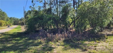 29 acre corner lot located in the well established community of on Citrus Springs Country Club in Florida - for sale on GolfHomes.com, golf home, golf lot