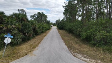 Don't miss out on this investment opportunity in a developing on Mirror Lakes Golf Club in Florida - for sale on GolfHomes.com, golf home, golf lot