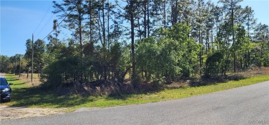 29 acre corner lot located in the well established community of on Citrus Springs Country Club in Florida - for sale on GolfHomes.com, golf home, golf lot