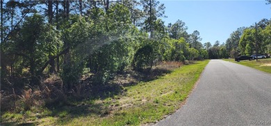 29 acre corner lot located in the well established community of on Citrus Springs Country Club in Florida - for sale on GolfHomes.com, golf home, golf lot