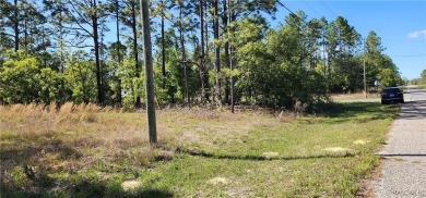 29 acre corner lot located in the well established community of on Citrus Springs Country Club in Florida - for sale on GolfHomes.com, golf home, golf lot