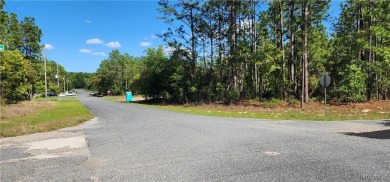 29 acre corner lot located in the well established community of on Citrus Springs Country Club in Florida - for sale on GolfHomes.com, golf home, golf lot