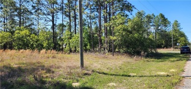 29 acre corner lot located in the well established community of on Citrus Springs Country Club in Florida - for sale on GolfHomes.com, golf home, golf lot