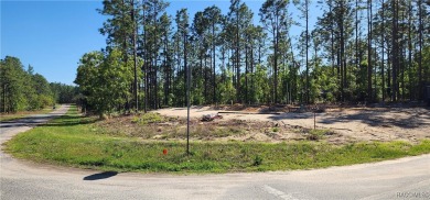 29 acre corner lot located in the well established community of on Citrus Springs Country Club in Florida - for sale on GolfHomes.com, golf home, golf lot