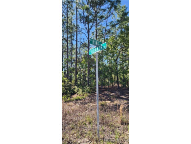29 acre corner lot located in the well established community of on Citrus Springs Country Club in Florida - for sale on GolfHomes.com, golf home, golf lot