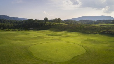 Framed in the shadows of the historic grain silos, with its Land on Ballyhack Golf Club in Virginia - for sale on GolfHomes.com, golf home, golf lot