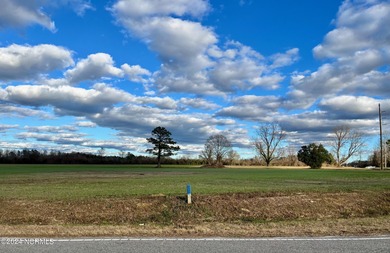 BEAUTIFUL 50+- acre tract of land in North Whiteville with road on Land-O-Lakes Golf Course in North Carolina - for sale on GolfHomes.com, golf home, golf lot