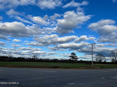 BEAUTIFUL 50+- acre tract of land in North Whiteville with road on Land-O-Lakes Golf Course in North Carolina - for sale on GolfHomes.com, golf home, golf lot