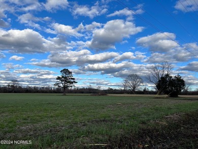 BEAUTIFUL 50+- acre tract of land in North Whiteville with road on Land-O-Lakes Golf Course in North Carolina - for sale on GolfHomes.com, golf home, golf lot