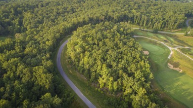 Experience the Greatness of Ballyhack ~ don't miss the on Ballyhack Golf Club in Virginia - for sale on GolfHomes.com, golf home, golf lot
